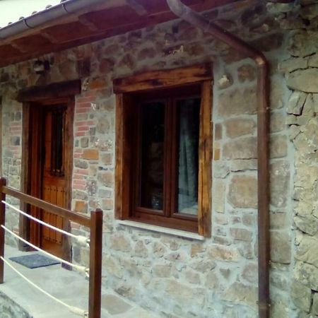 La Rama Del Castor Villa Espinama Kültér fotó